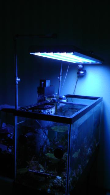 IMAG0115.jpg