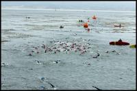 IMG_2216.jpg